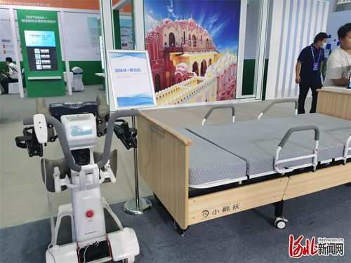 创新河北·链动全球 国际科技合作成果展聚焦绿色未来