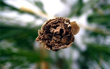 山西翌佳环保科技是国企