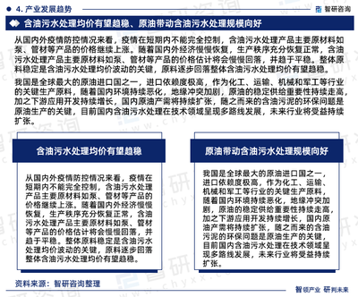 2024-2030年中国含油污水处理行业市场研究分析及投资发展潜力